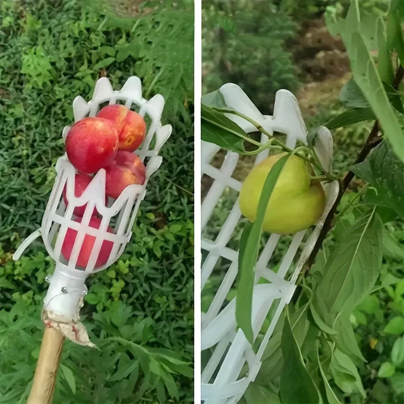 Gyümölcs Szedő Könnyű