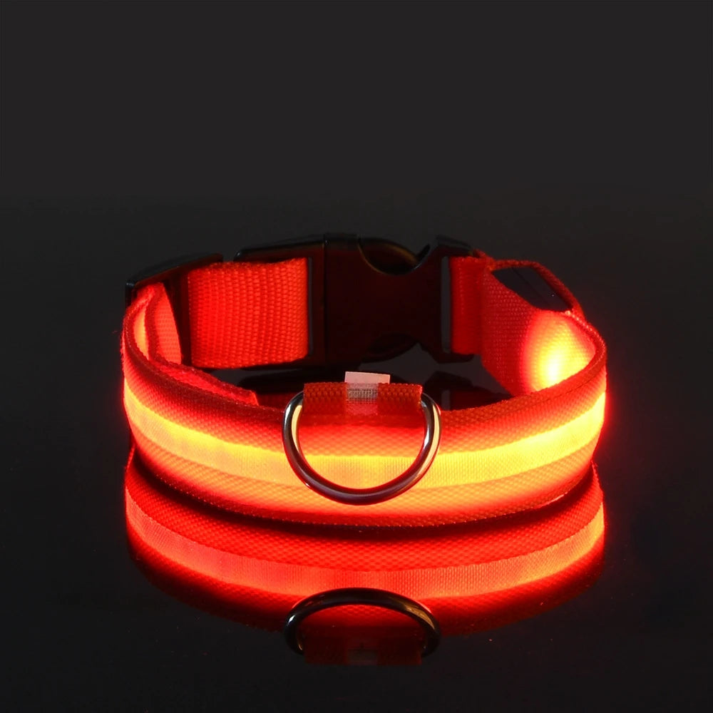 Led Világító Kutya Póráz