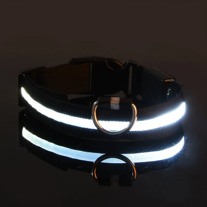 Led Világító Kutya Póráz
