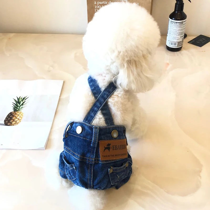 Kutya Ruha Denim WANGMEOW