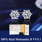 Moissanite Fülbevaló AITERNITY