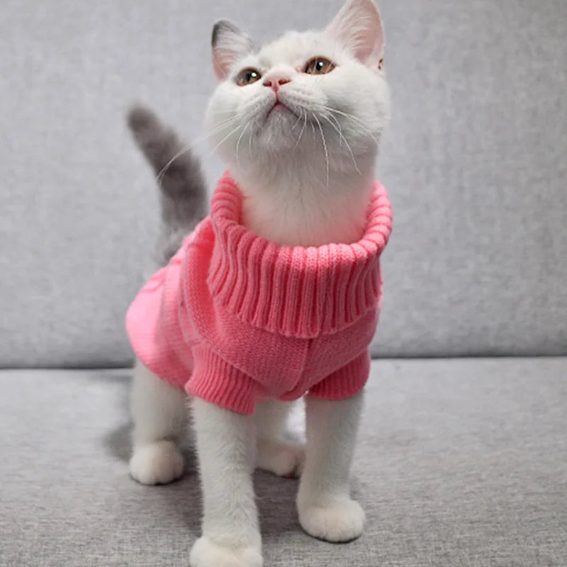 Macska Ruha Kényelmes WANGMEOW