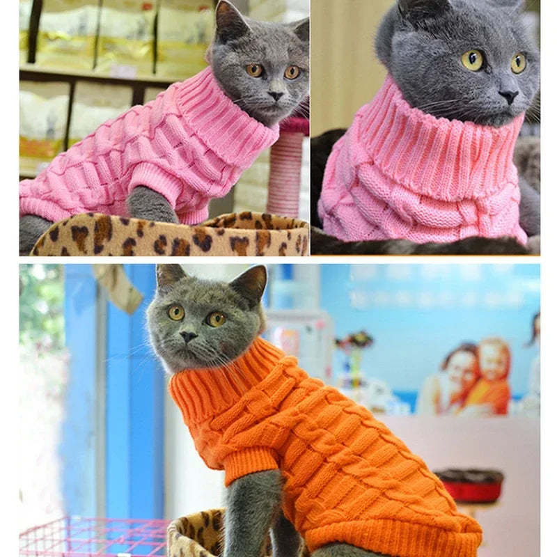 WANGMEOW Kutya Kabát Kötött