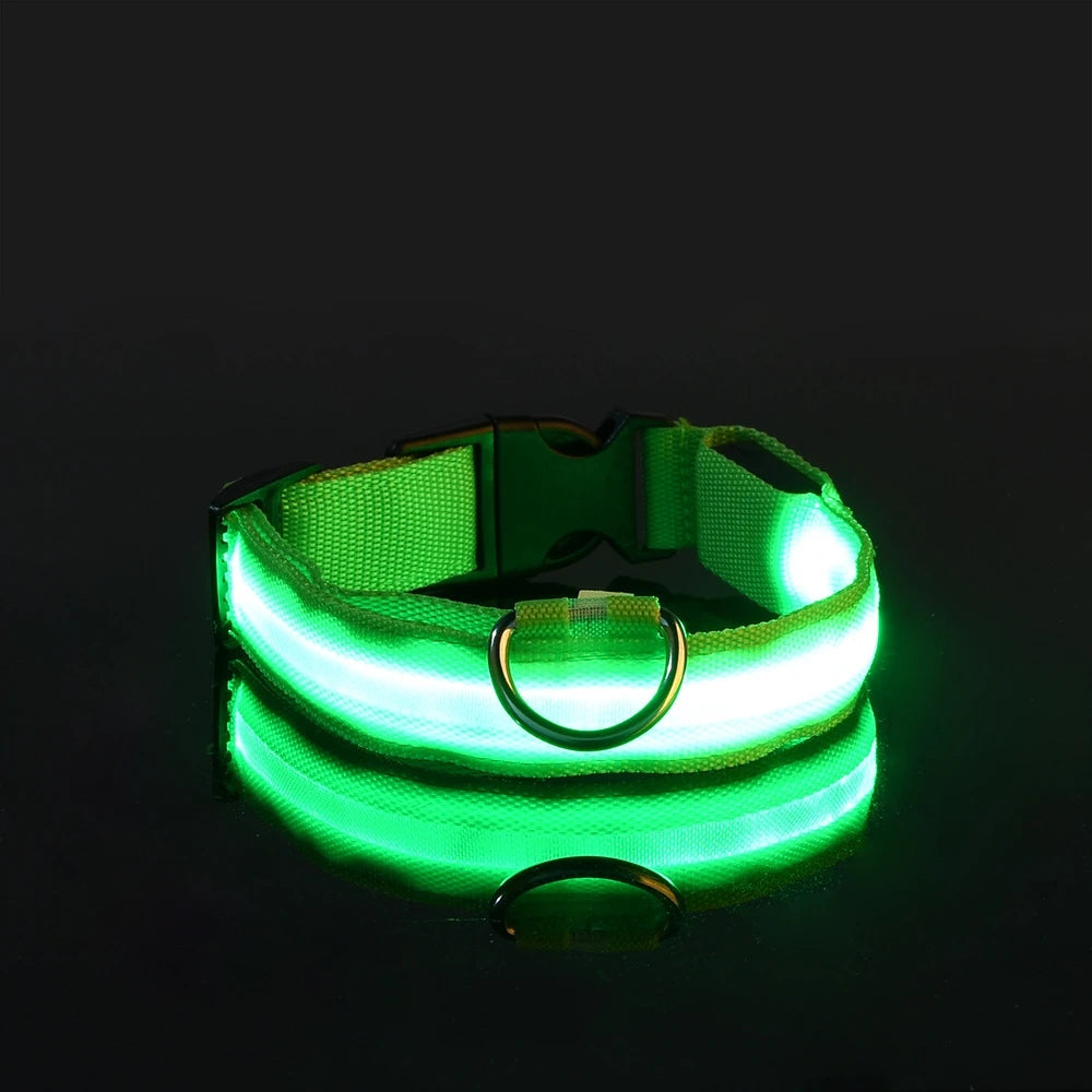 Led Világító Kutya Póráz