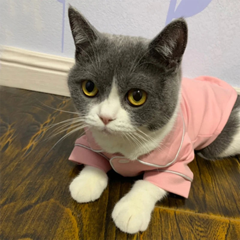 WANGMEOWCN Macska Jelmez Téli