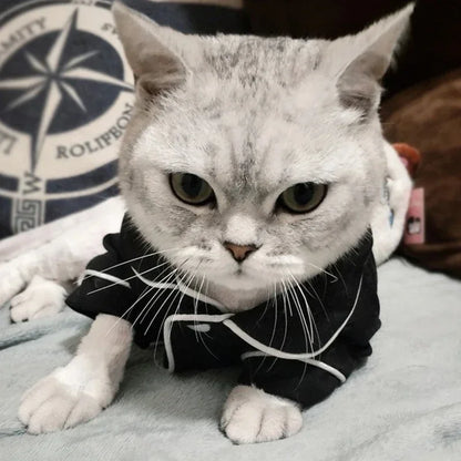 WANGMEOWCN Macska Jelmez Téli