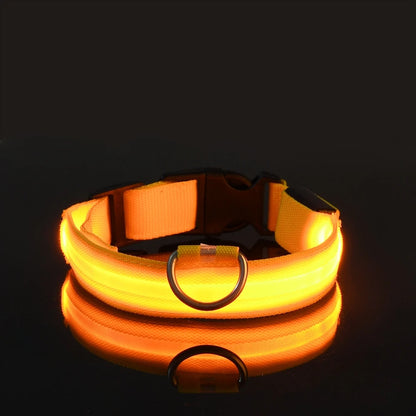 Led Világító Kutya Póráz