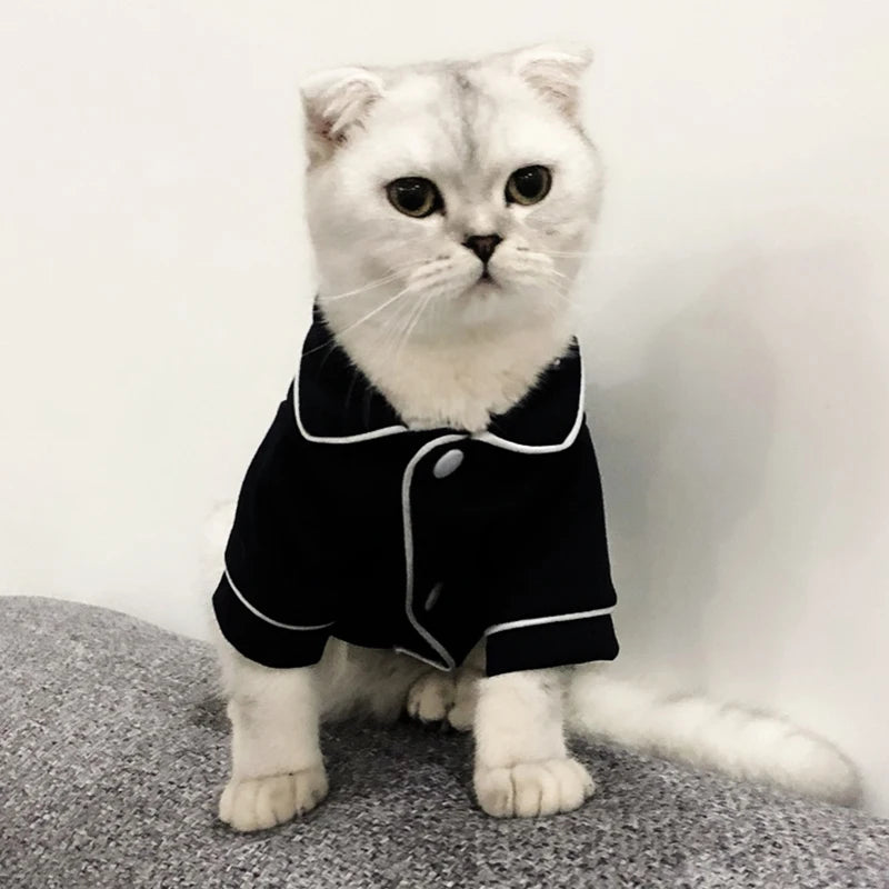 WANGMEOWCN Macska Jelmez Téli