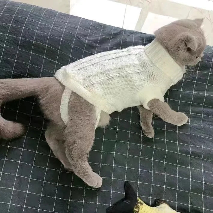 Macska Ruha Kényelmes WANGMEOW
