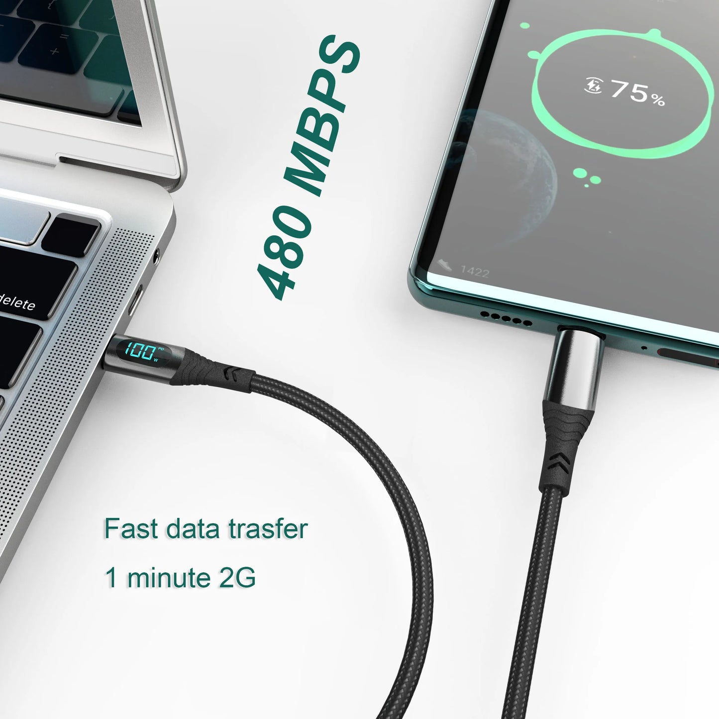 Lieve 100W USB C Cable