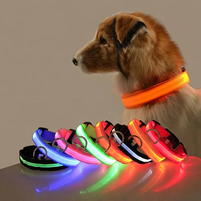 Led Világító Kutya Póráz
