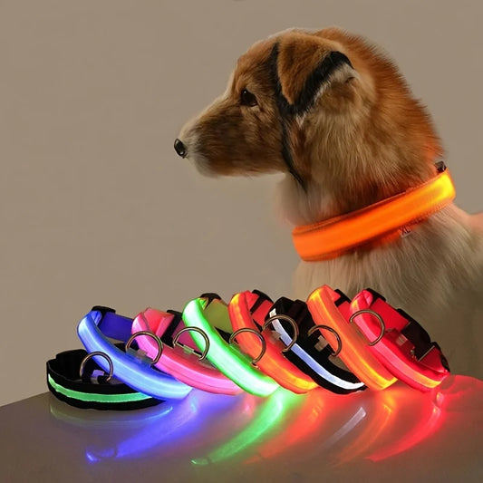 Led Világító Kutya Póráz