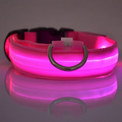Led Világító Kutya Póráz
