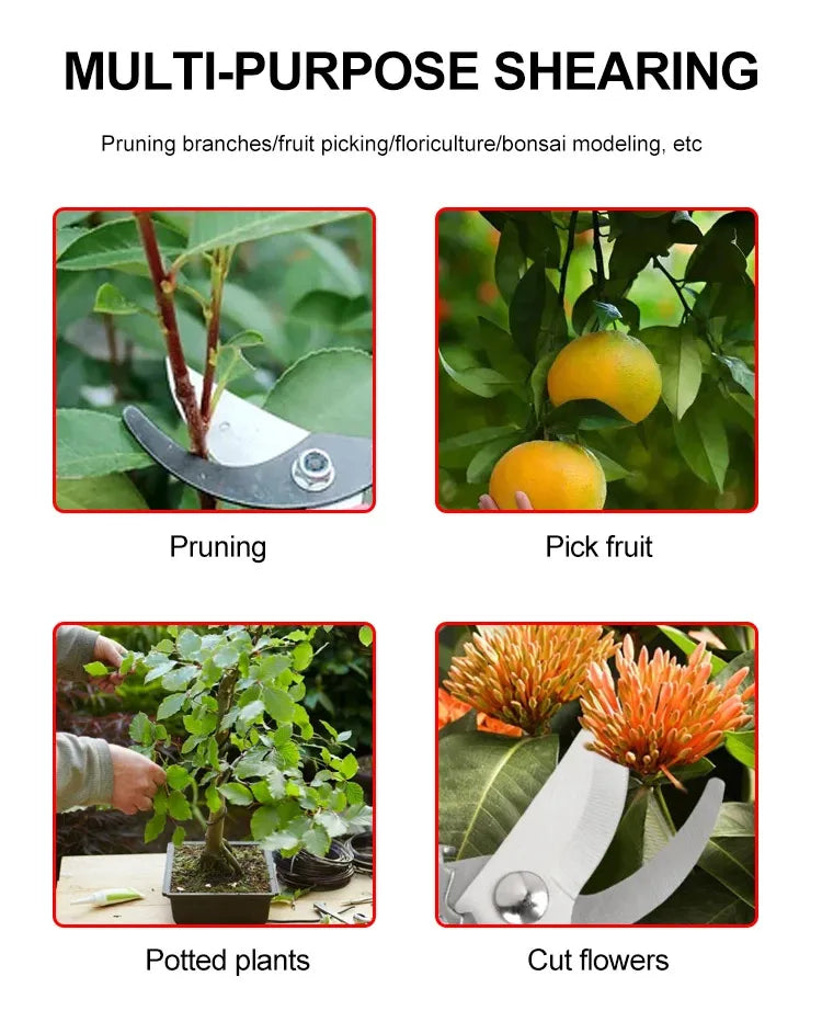 Edelstahl-Gartenscherenbeschichtung