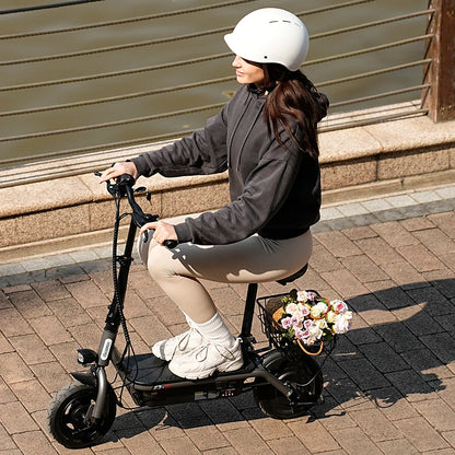 iScooter F2 für alle 30 km/h