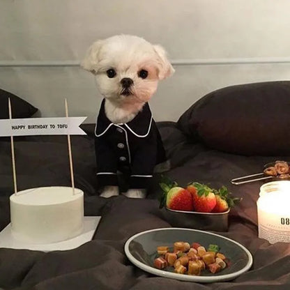 WANGMEOWCN Macska Jelmez Téli