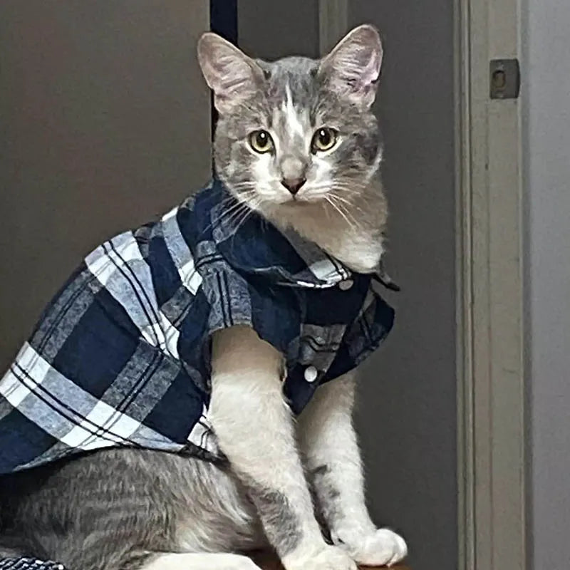 Kockás Macska Ruha WANGMEOW
