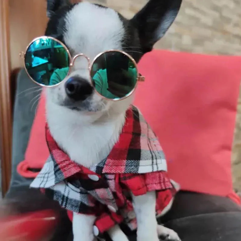 Kockás Macska Ruha WANGMEOW