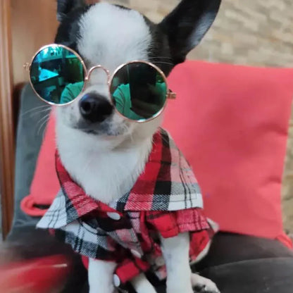 Kockás Macska Ruha WANGMEOW