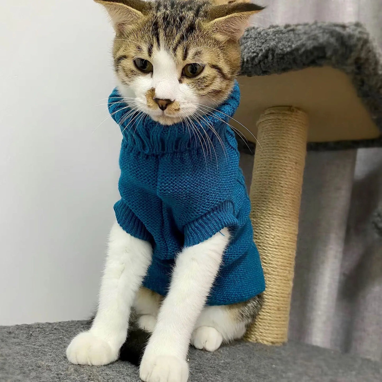 Kutyapulóver WangMeow Meleg
