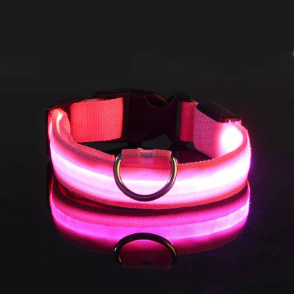 Led Világító Kutya Póráz
