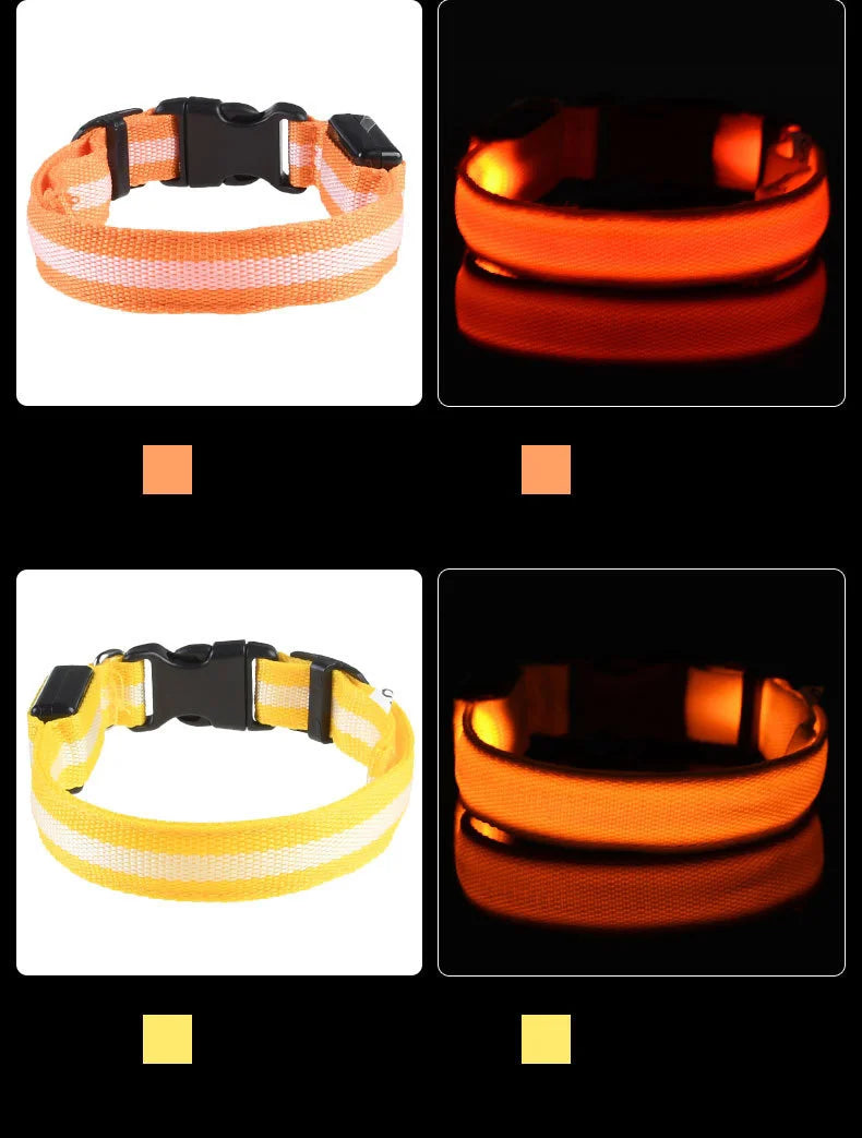 Led Világító Kutya Póráz