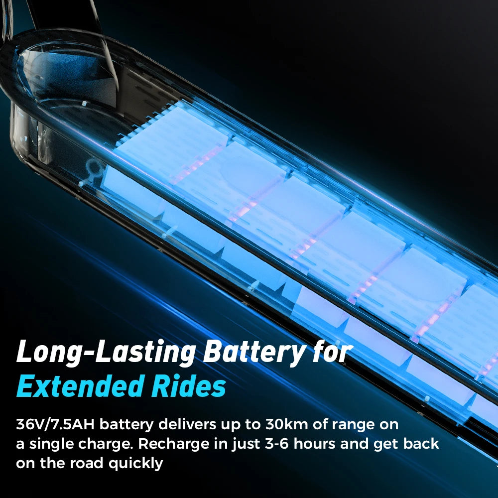 iScooter 350W Elektro Roller