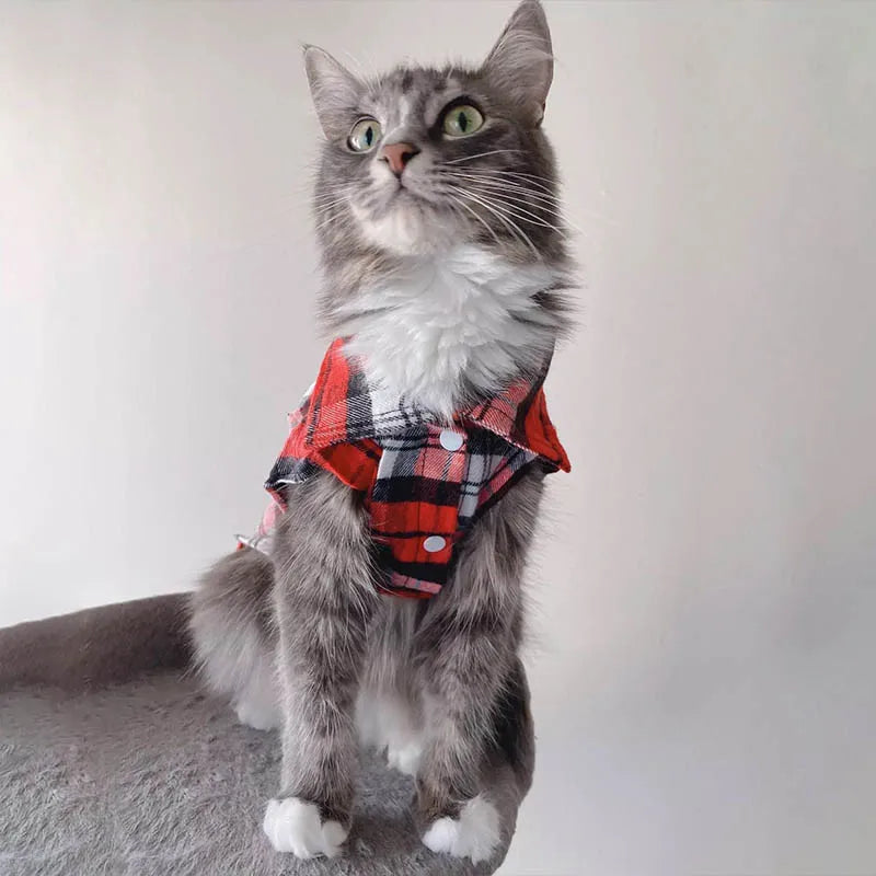 Kockás Macska Ruha WANGMEOW