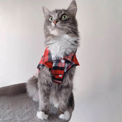 Kockás Macska Ruha WANGMEOW
