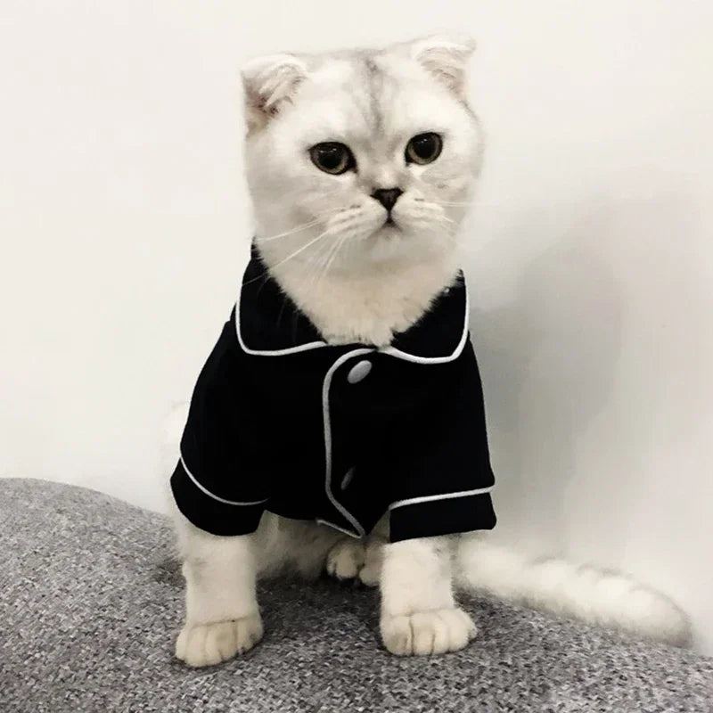 WANGMEOWCN Macska Jelmez Téli