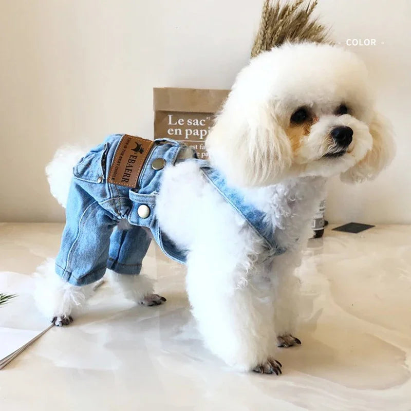 Kutya Ruha Denim WANGMEOW