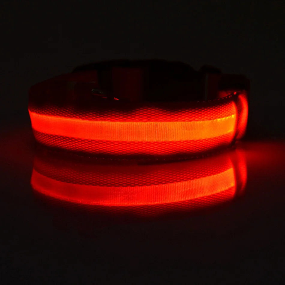 Led Világító Kutya Póráz