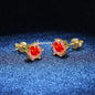 Aiternity Zircon Fülbevaló Női