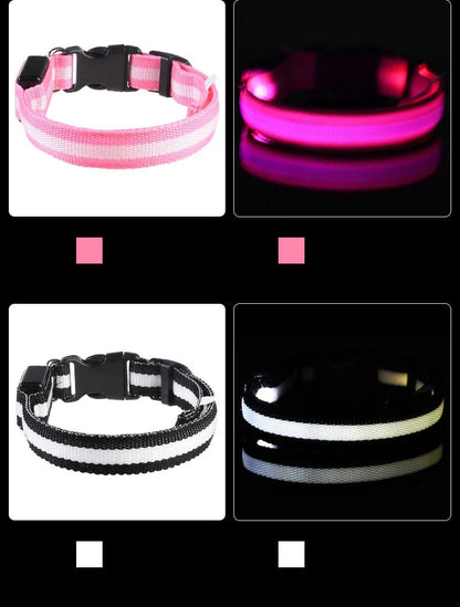 Led Világító Kutya Póráz