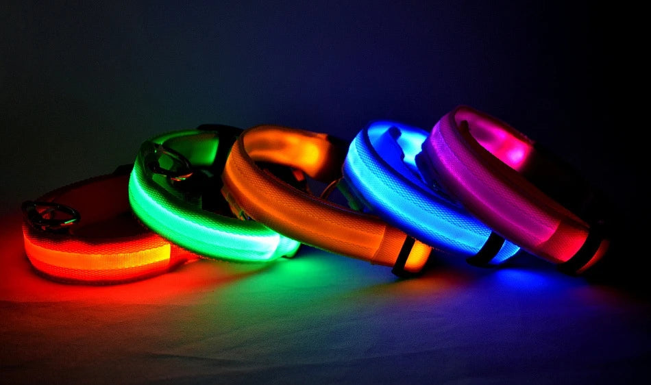Led Világító Kutya Póráz