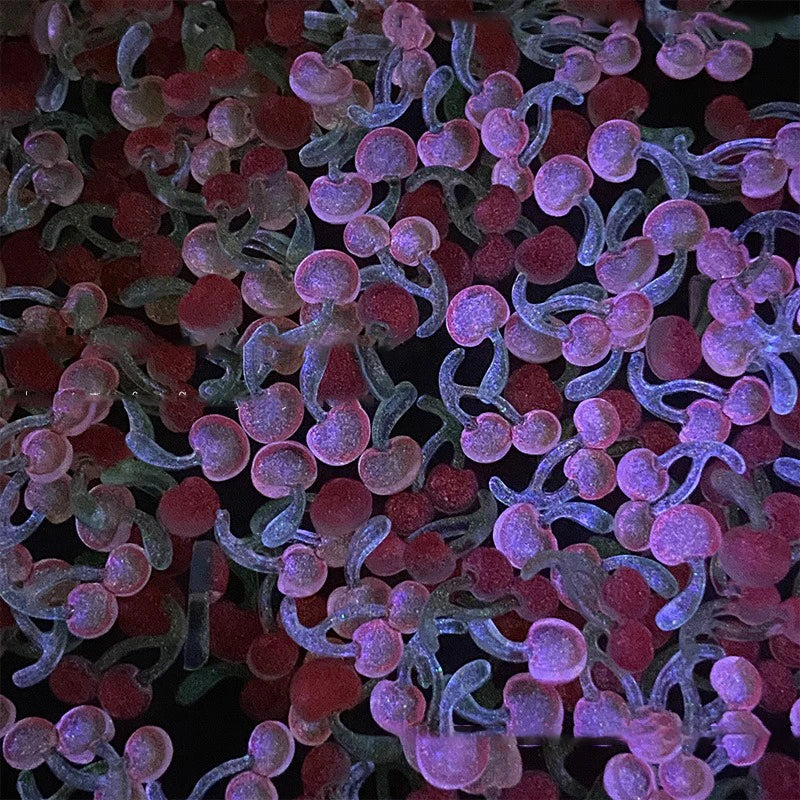 Köröm Dísz Cherry 3D Resin