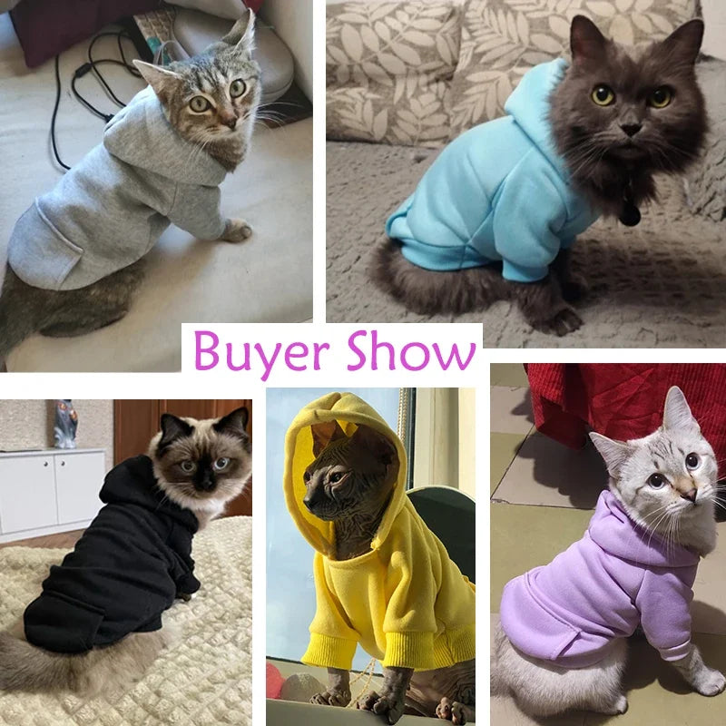 Macska Ruha Meleg WangMeow