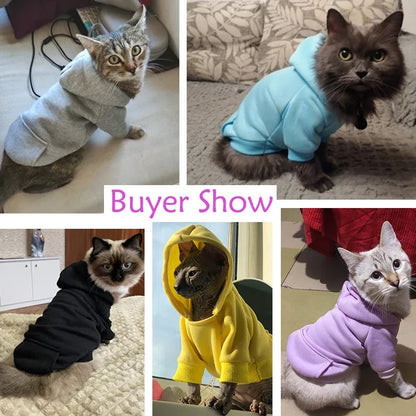 Macska Ruha Meleg WangMeow