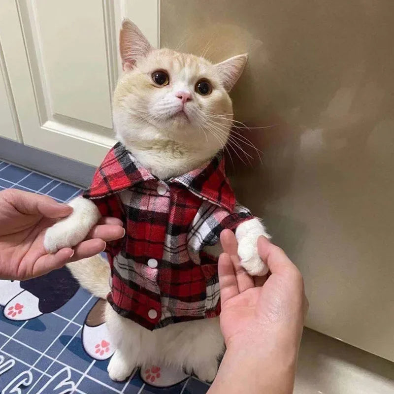 Kockás Macska Ruha WANGMEOW