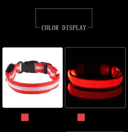 Led Világító Kutya Póráz